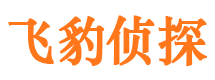 康马市私家侦探